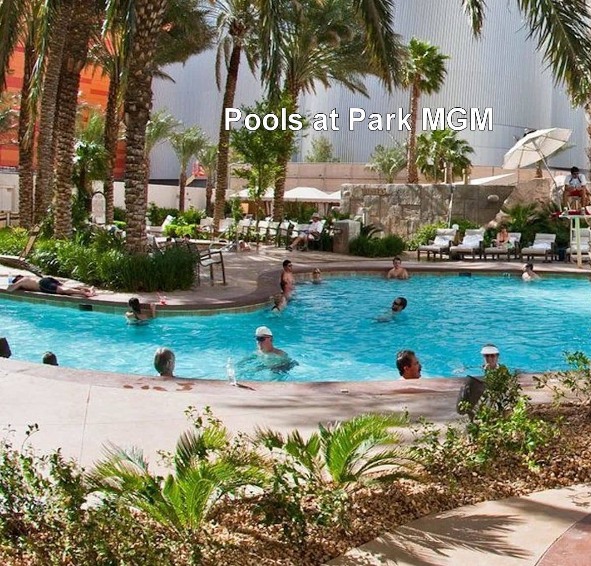 monte carlo pool website